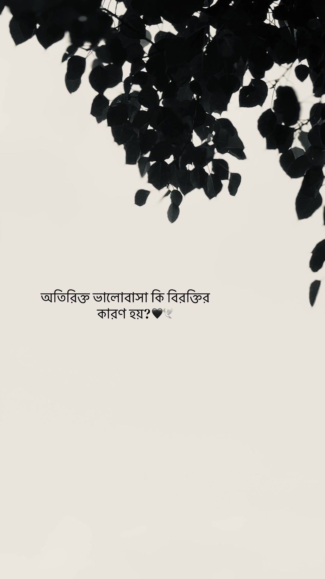@Mishal🧃