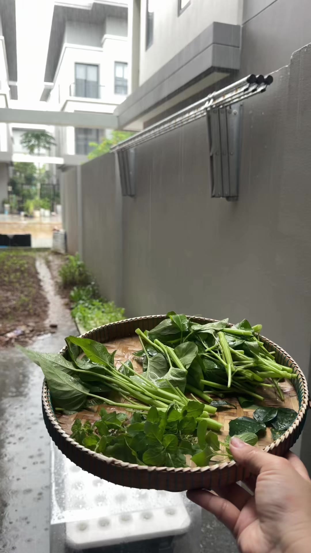 @អ្នកមីង🇰🇭