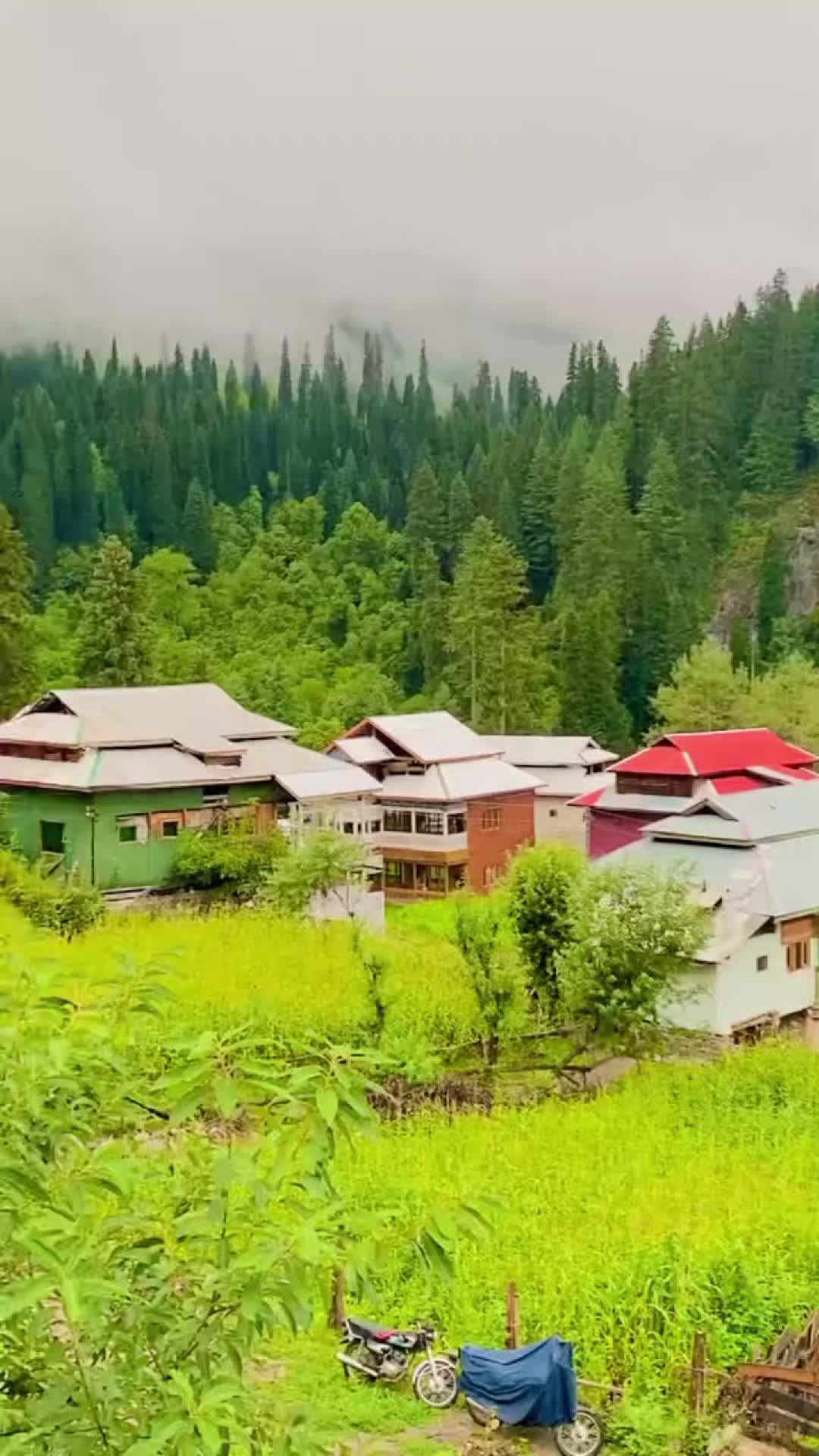 @Neelum Vista Tourism