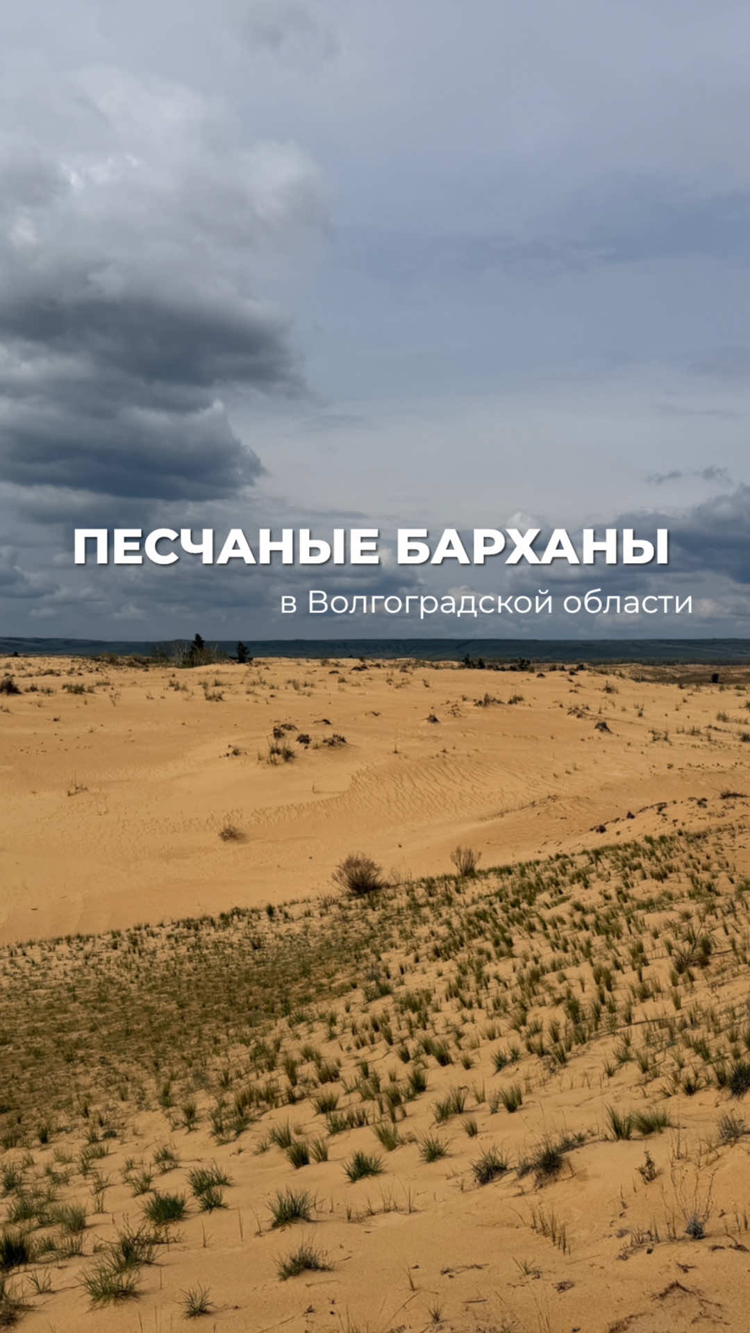 @Лизавета