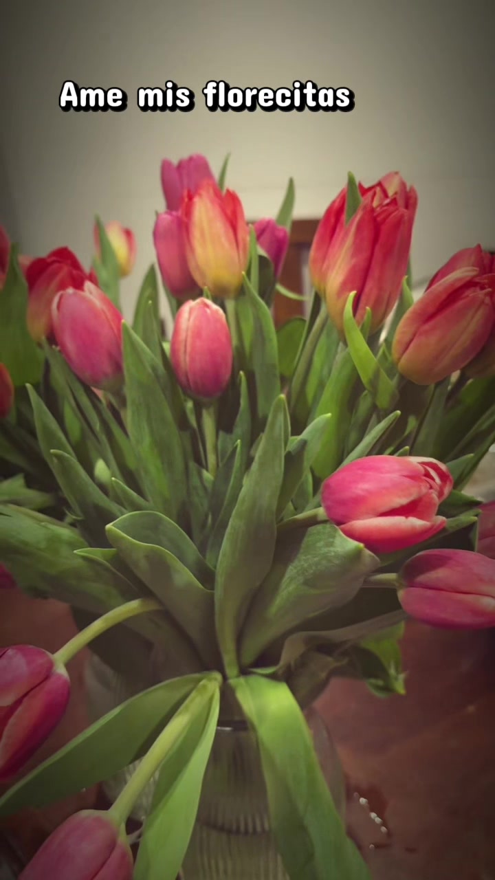 @Blanky💐💐
