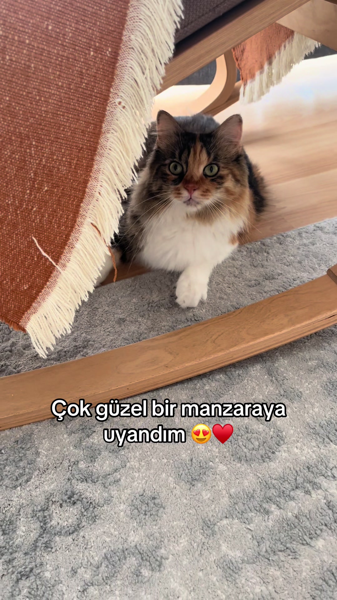 @konusankediminnos