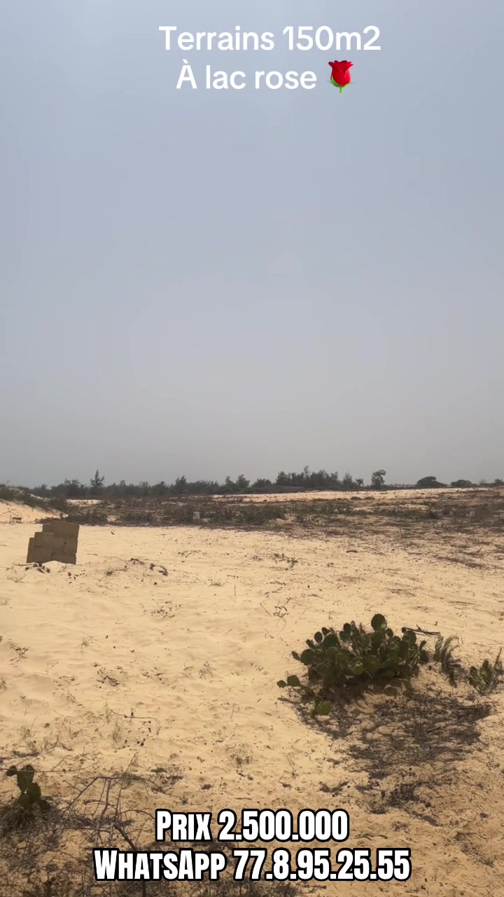 @Sénégal dakar habitat 🇸🇳