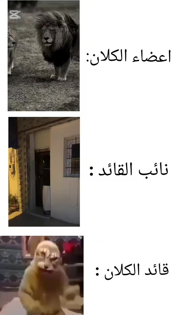 @WISTの🇩🇿