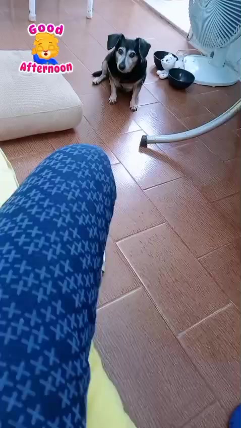@Rosangela Marques