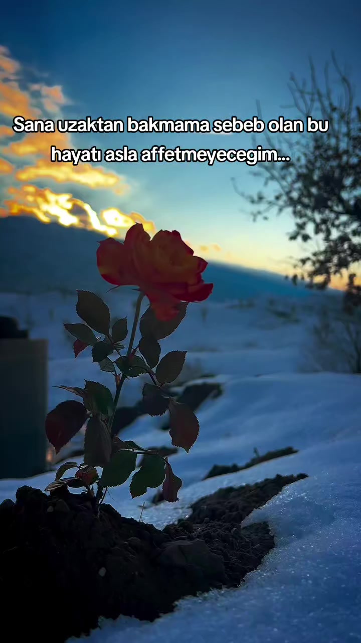 @⚕️FªRƘ ƐĐĘṚMÎ⚕️