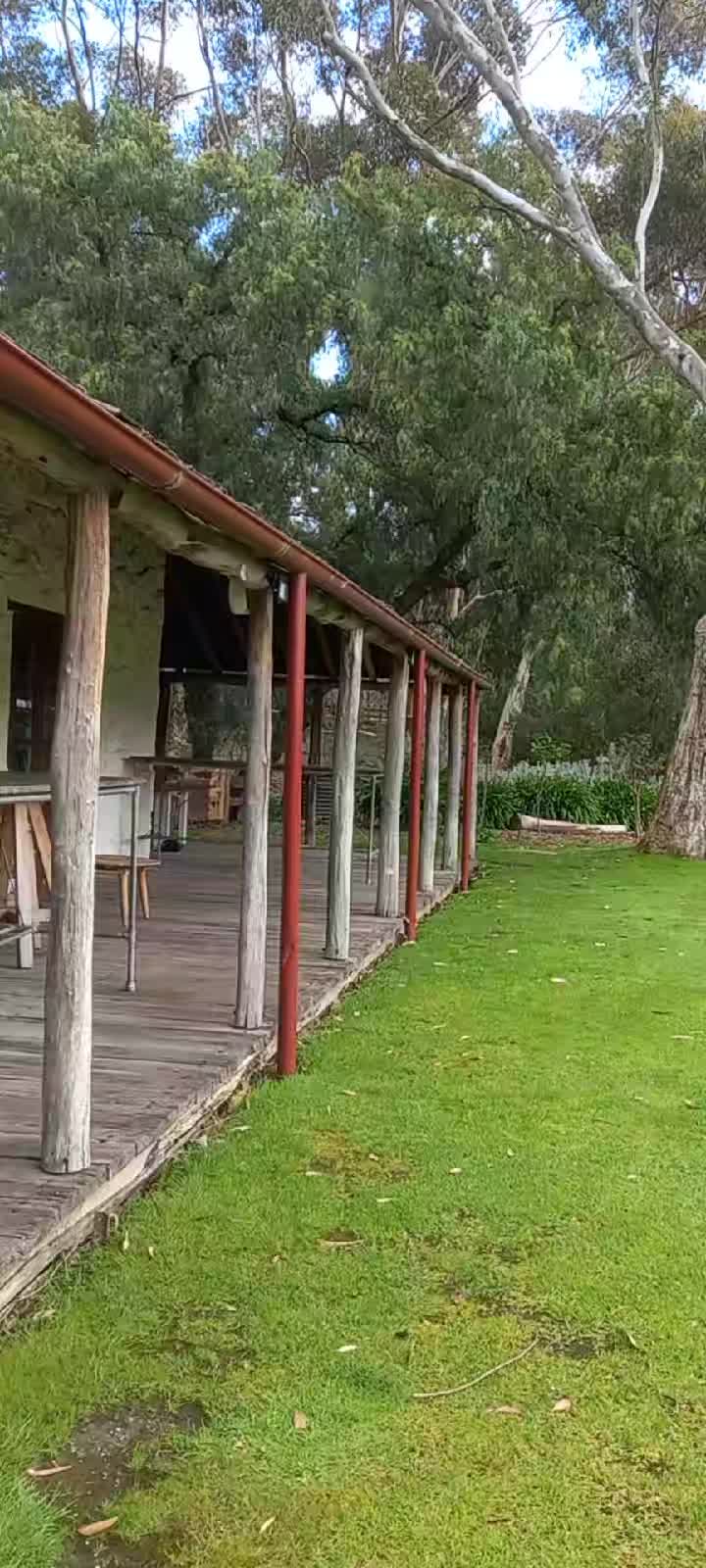 @Emu bottom homestead