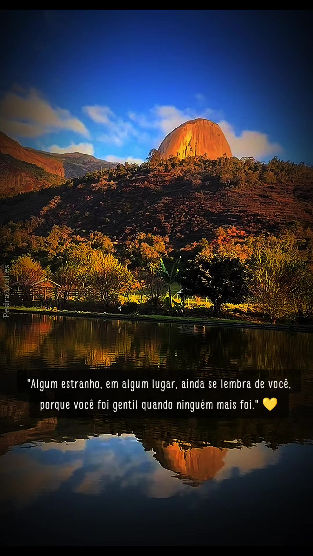 @🦋ZuZu🦋