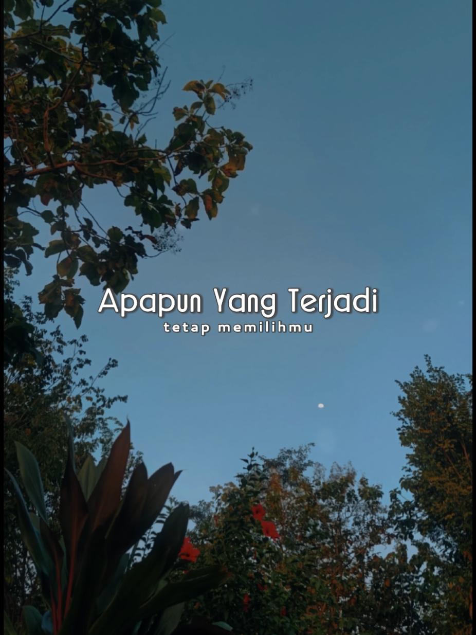 @Lagu Viral