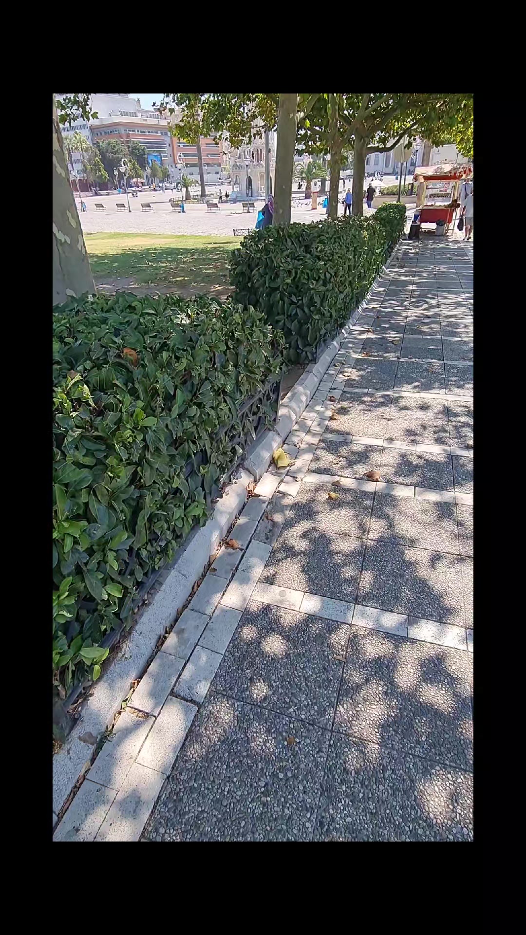 @🤗🤗MUTLU BABA 🤗🤗🤗