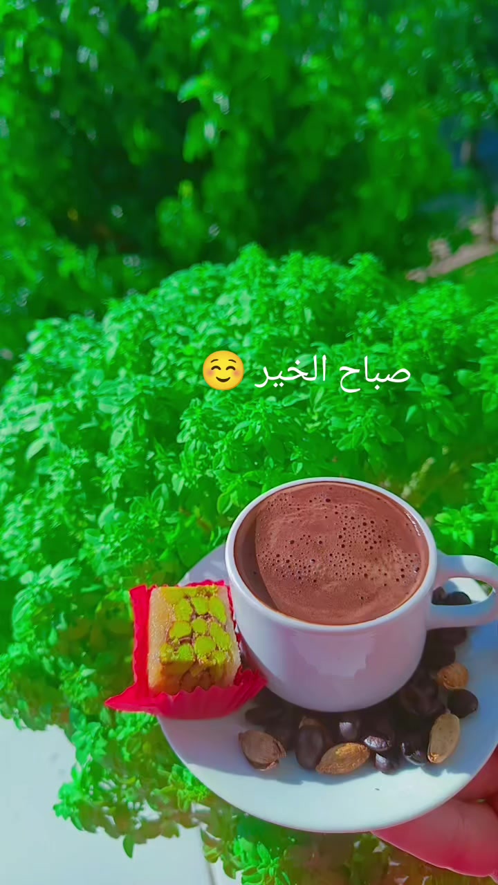 @☺️🌷زهرة حلب 🌷☺️