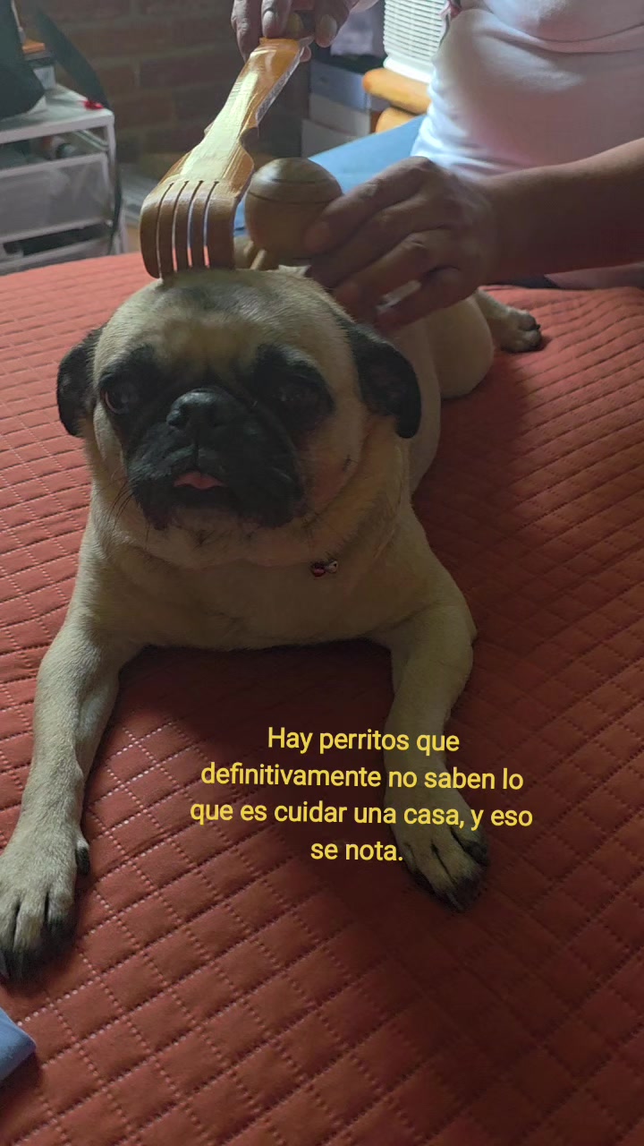 @Isafitness