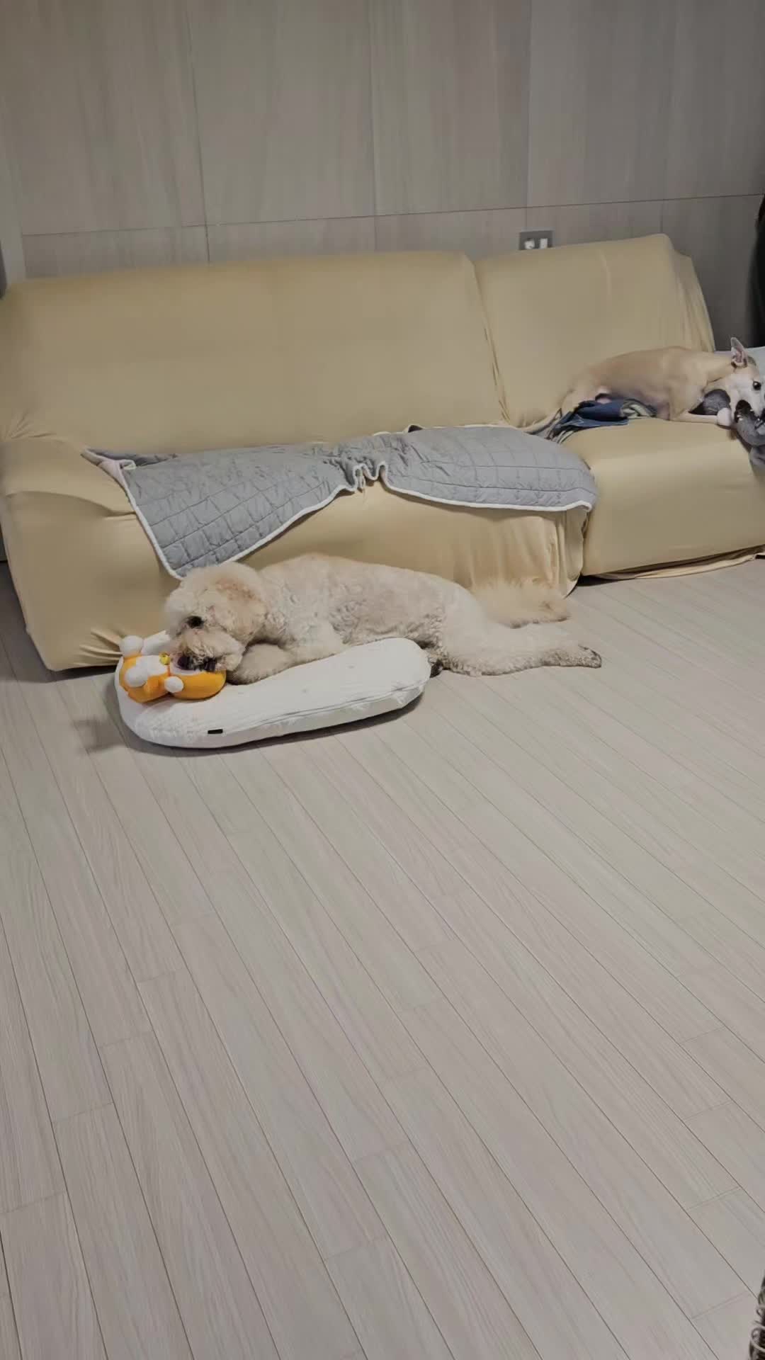 @백서현218