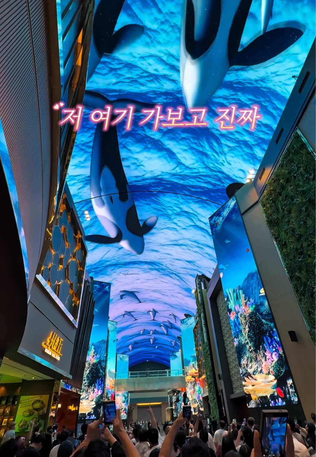 @캠핑에미치다