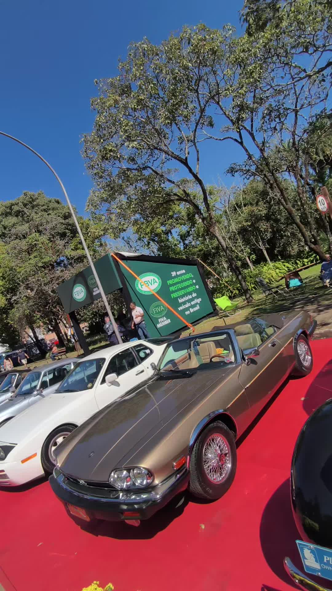 @Cars in Brasil