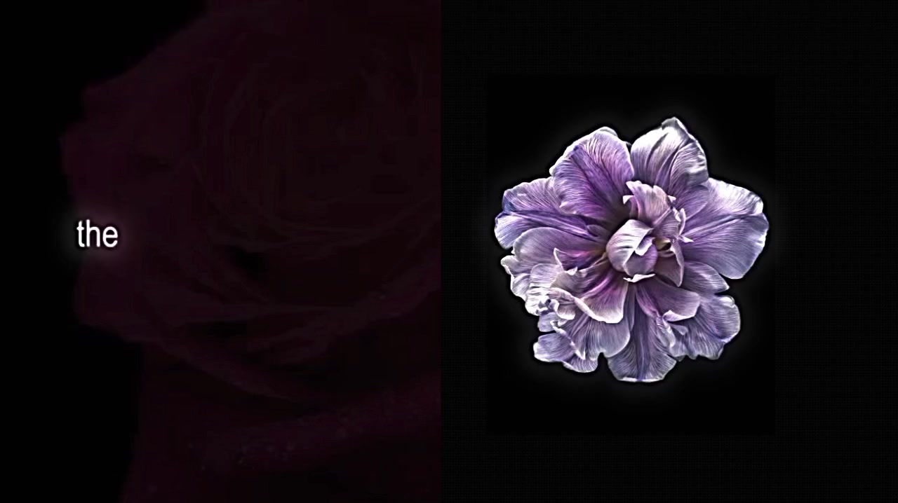 @𝘷𝘦𝘭𝘮𝘮𝘳𝘢𝘺𝘹