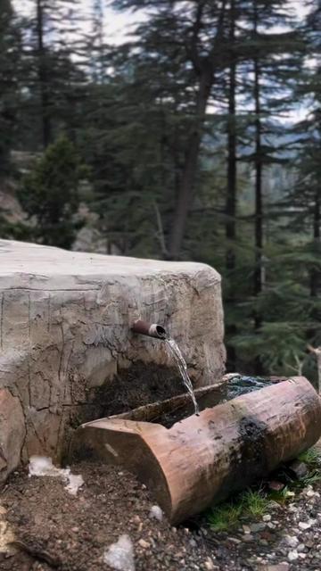 @Doğada yaşam