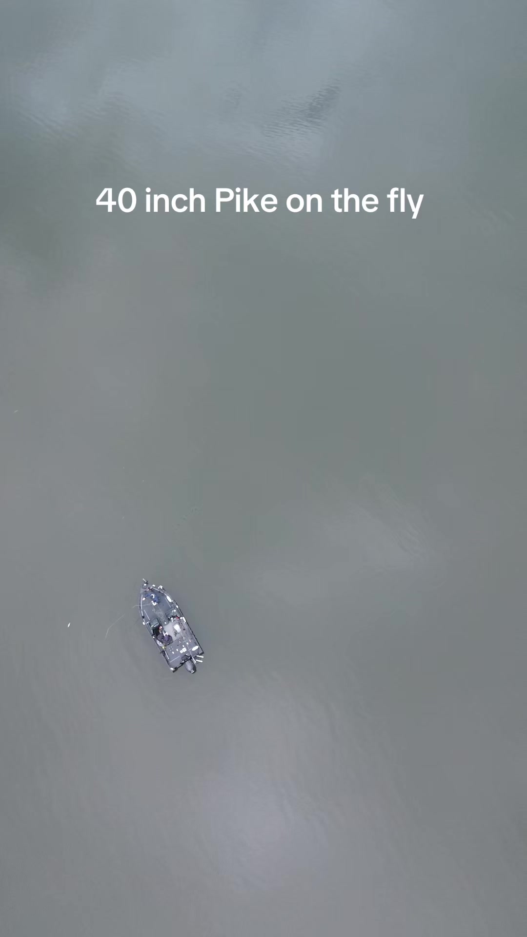 @Brian Still
