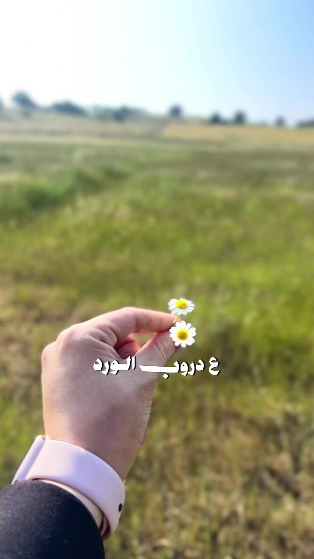 @✨𝒜𝒾𝓈𝒽𝒶🕊️