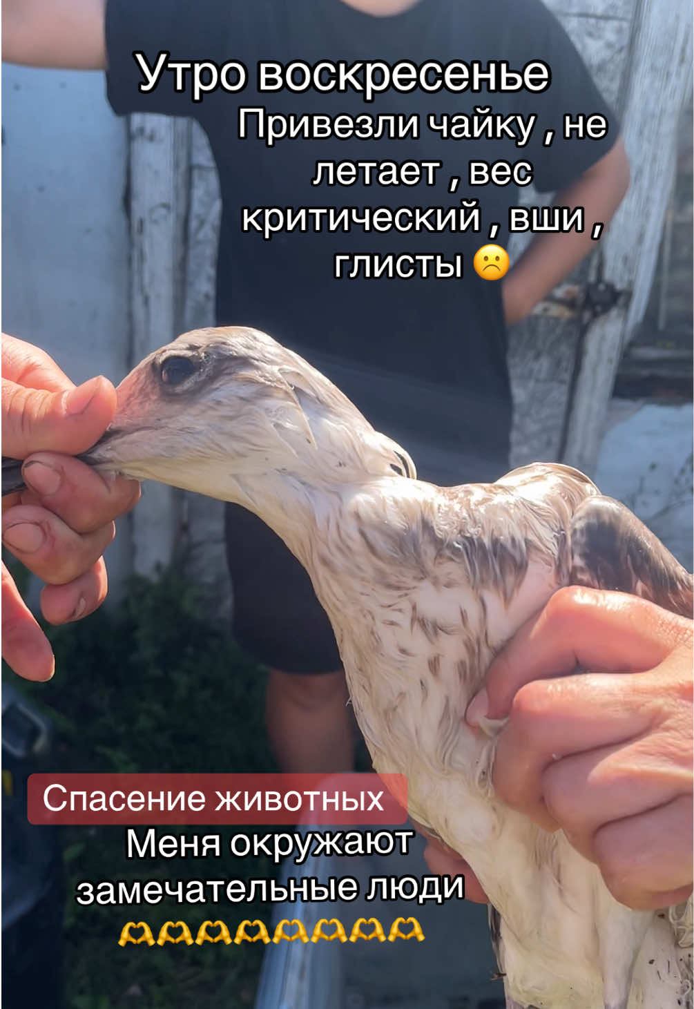 @Анастасия Чернявская.