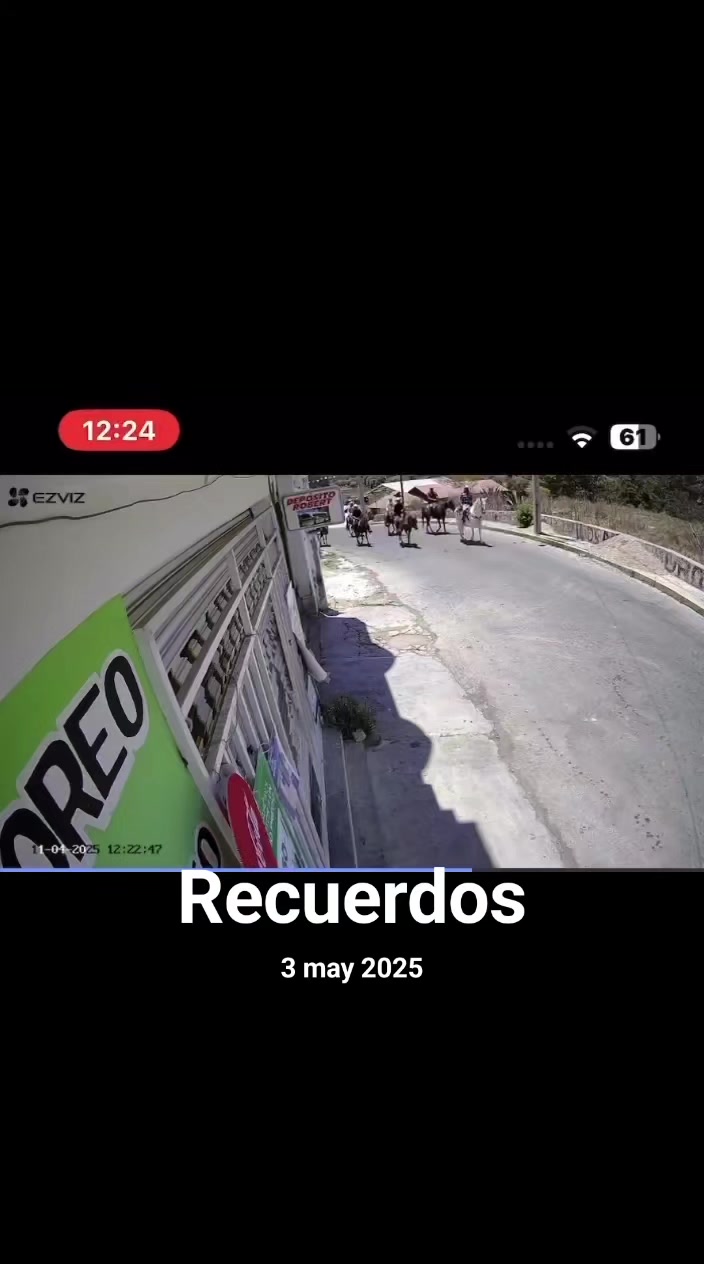 @Donato Martinez