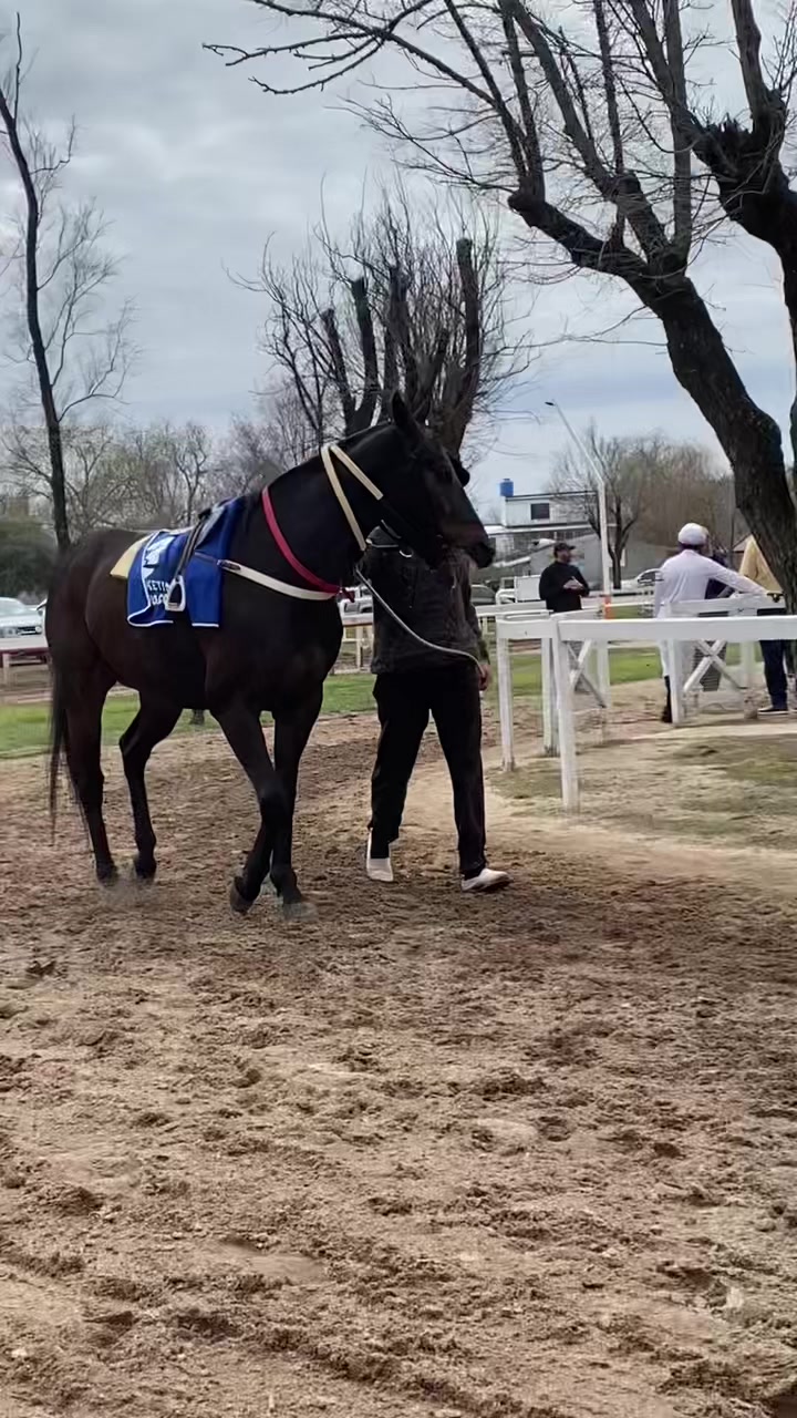 @Sofii Brito🏇🏽