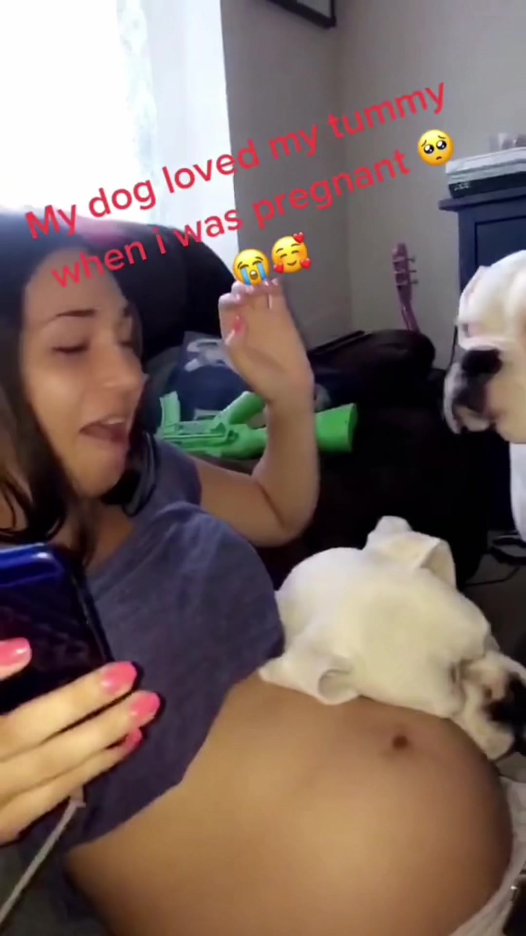 @K9stories