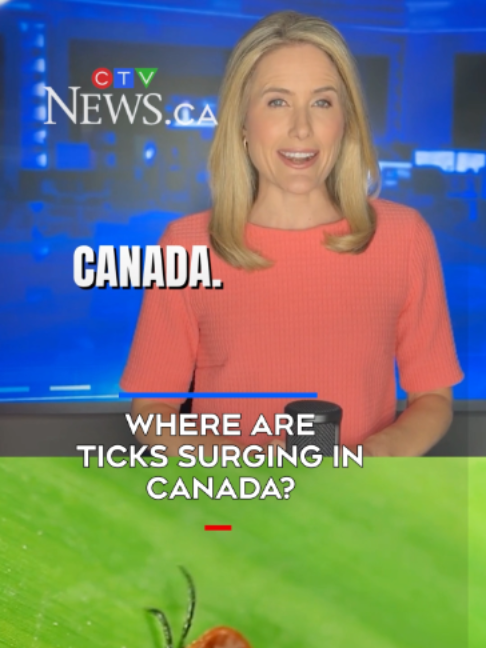@CTVNews
