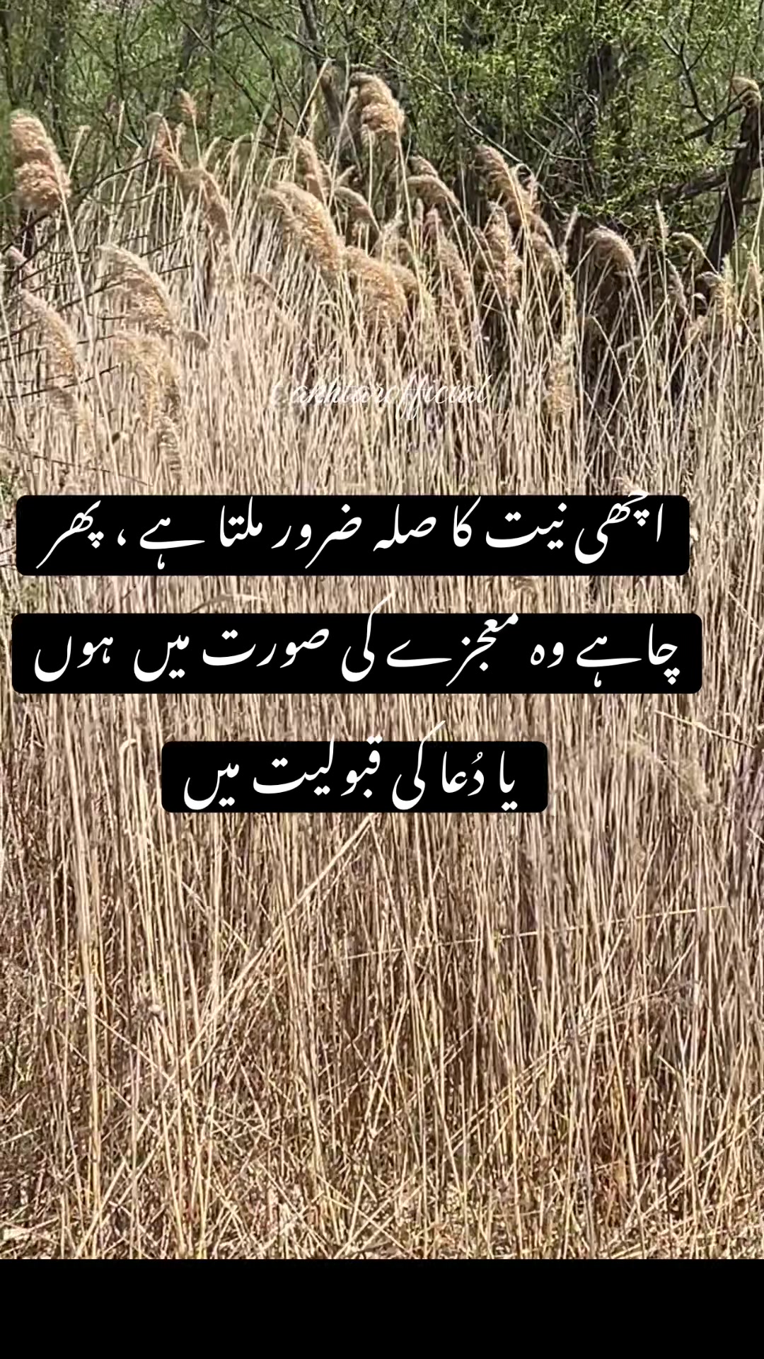 @T.Akhtar Official