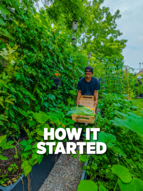 @Planted in the Garden