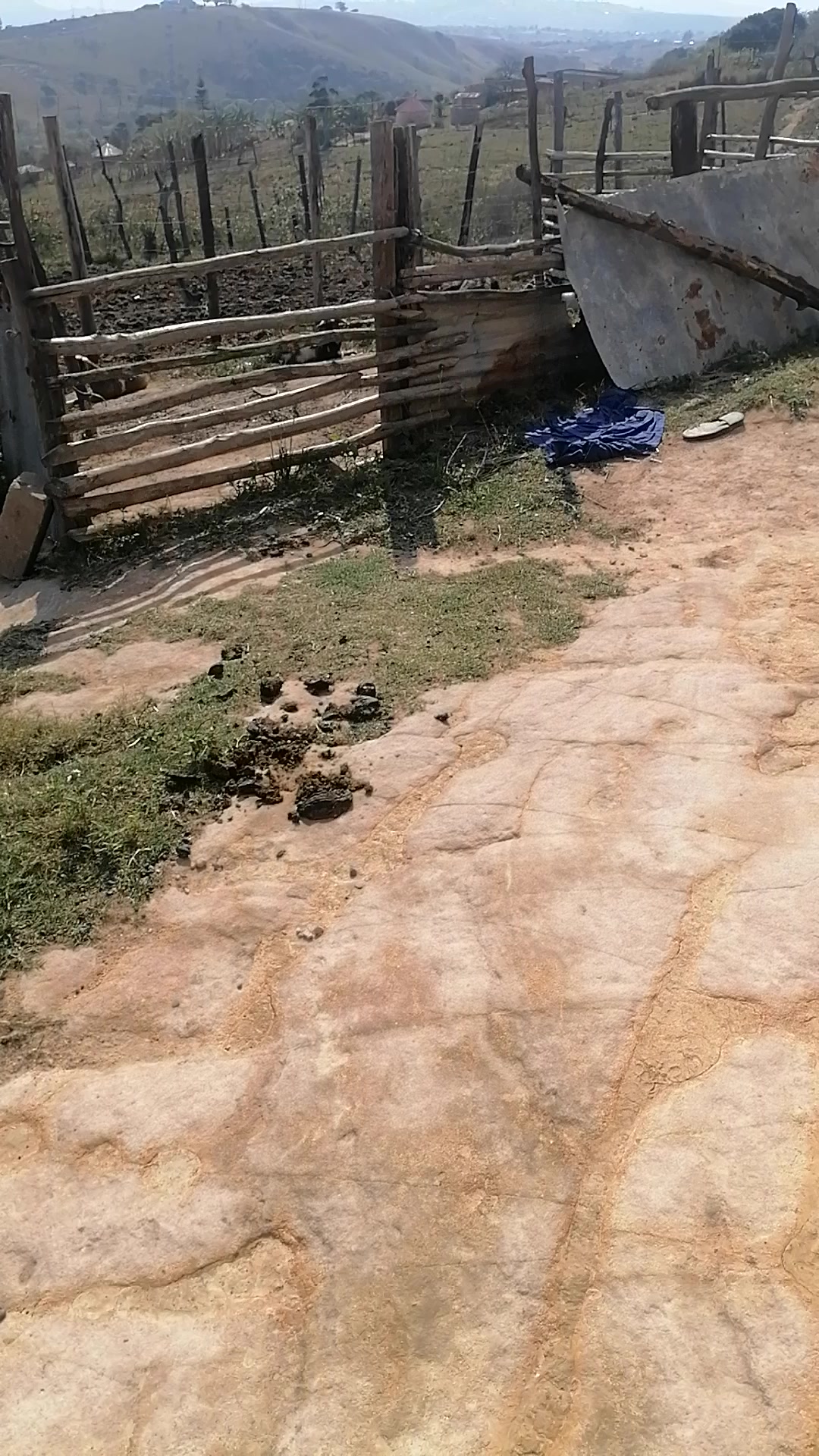 @mambemnyama