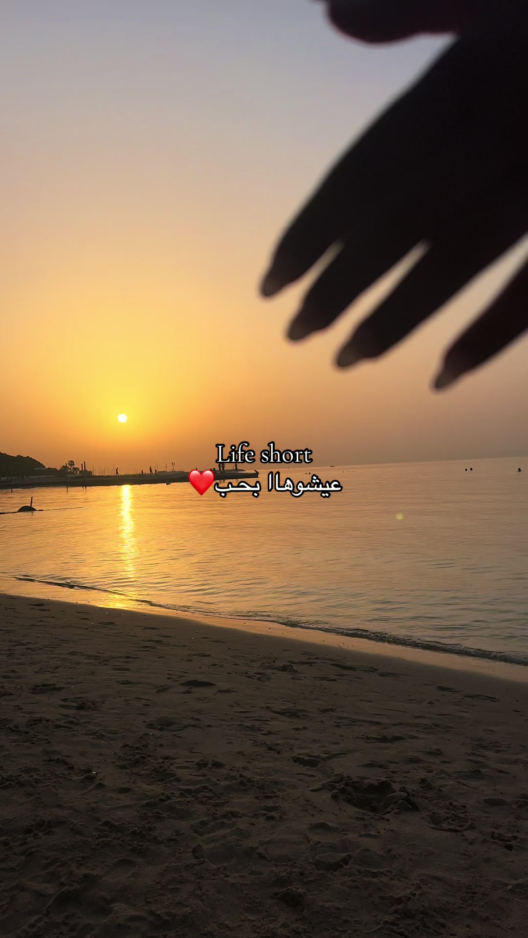 @آمنة🌹