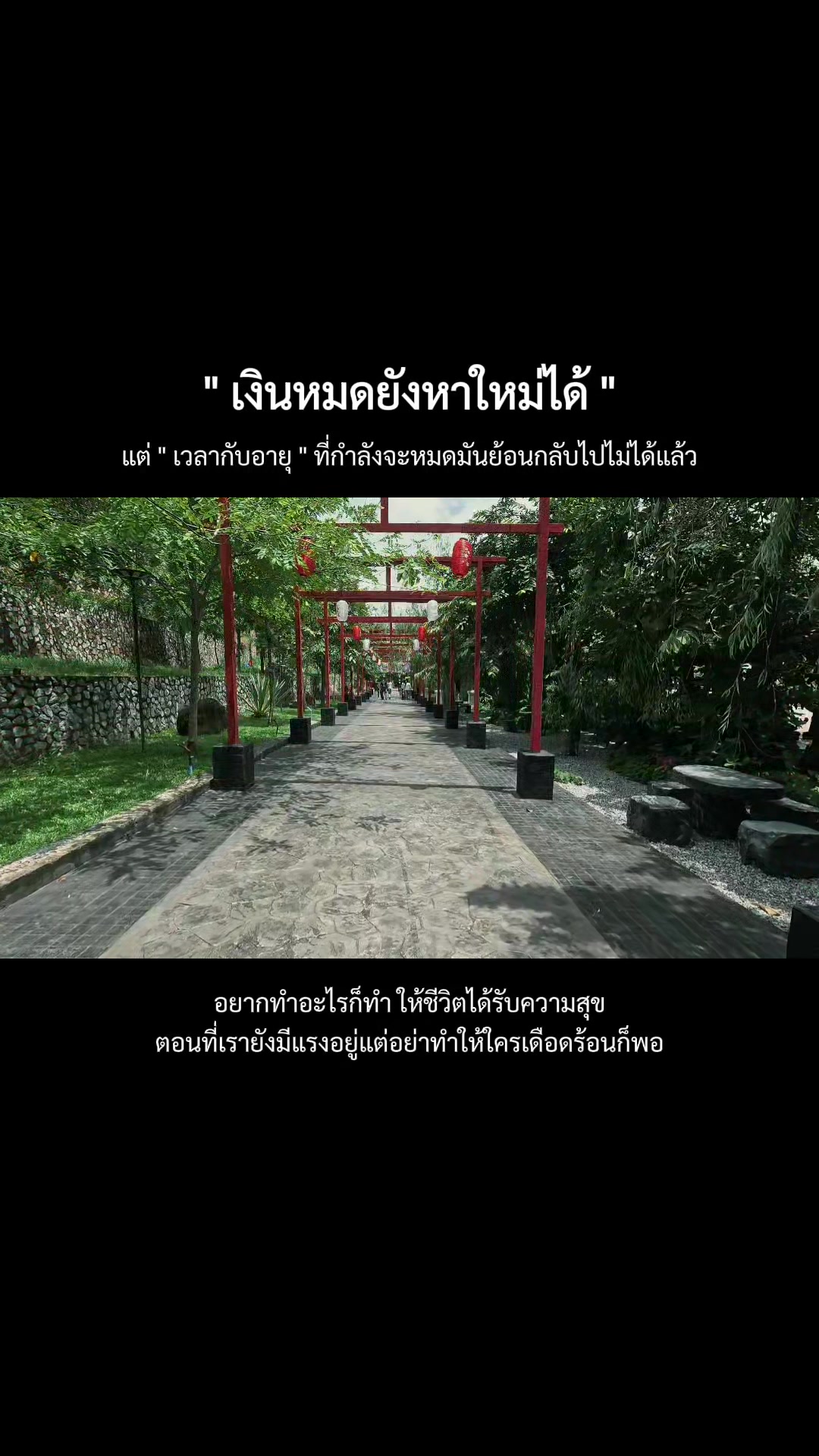@จอนฟอนบู๋ป่าฝ่าน้ำหมอก