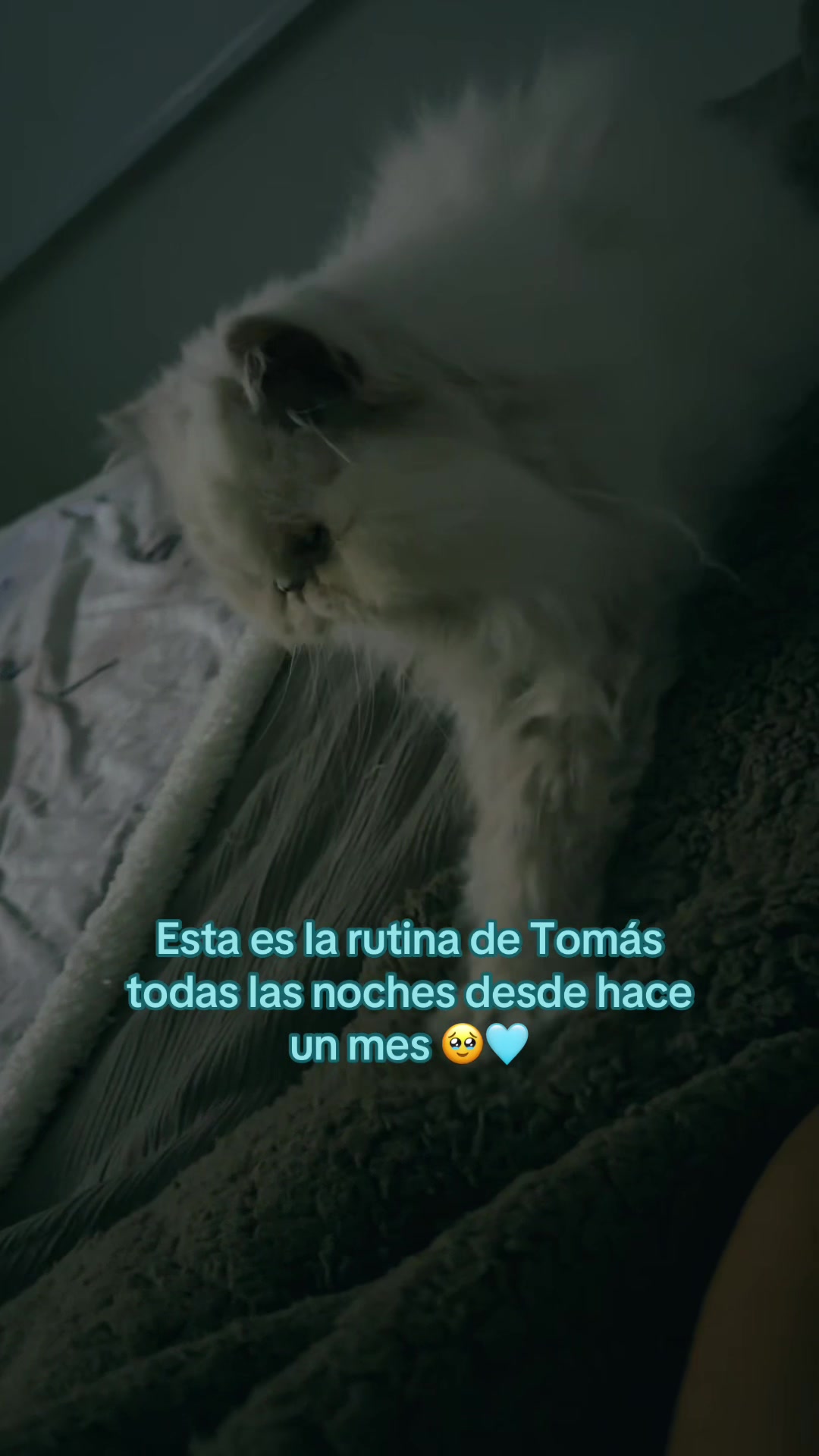 @Cielo Torres