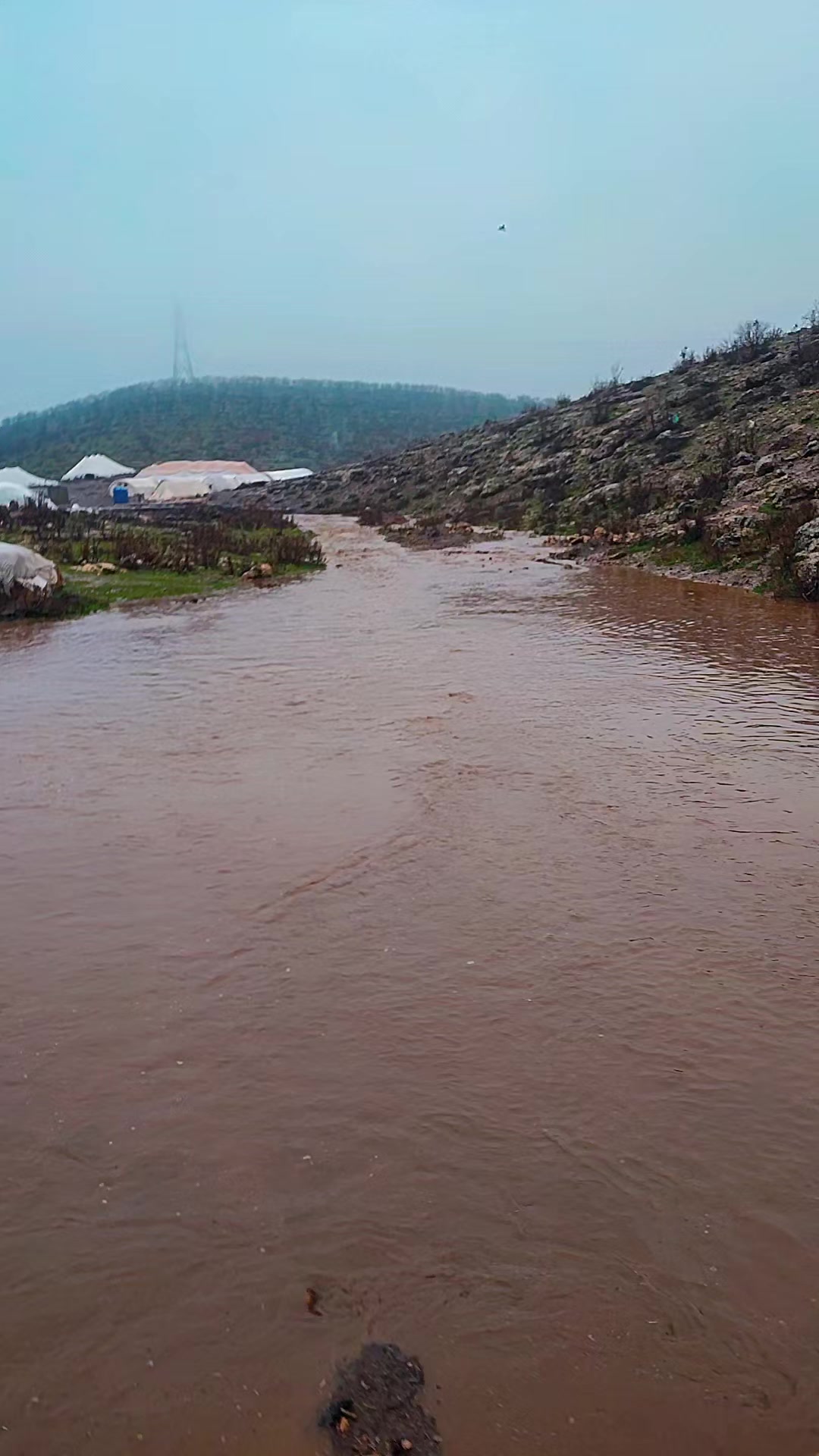 @Fırat47.73