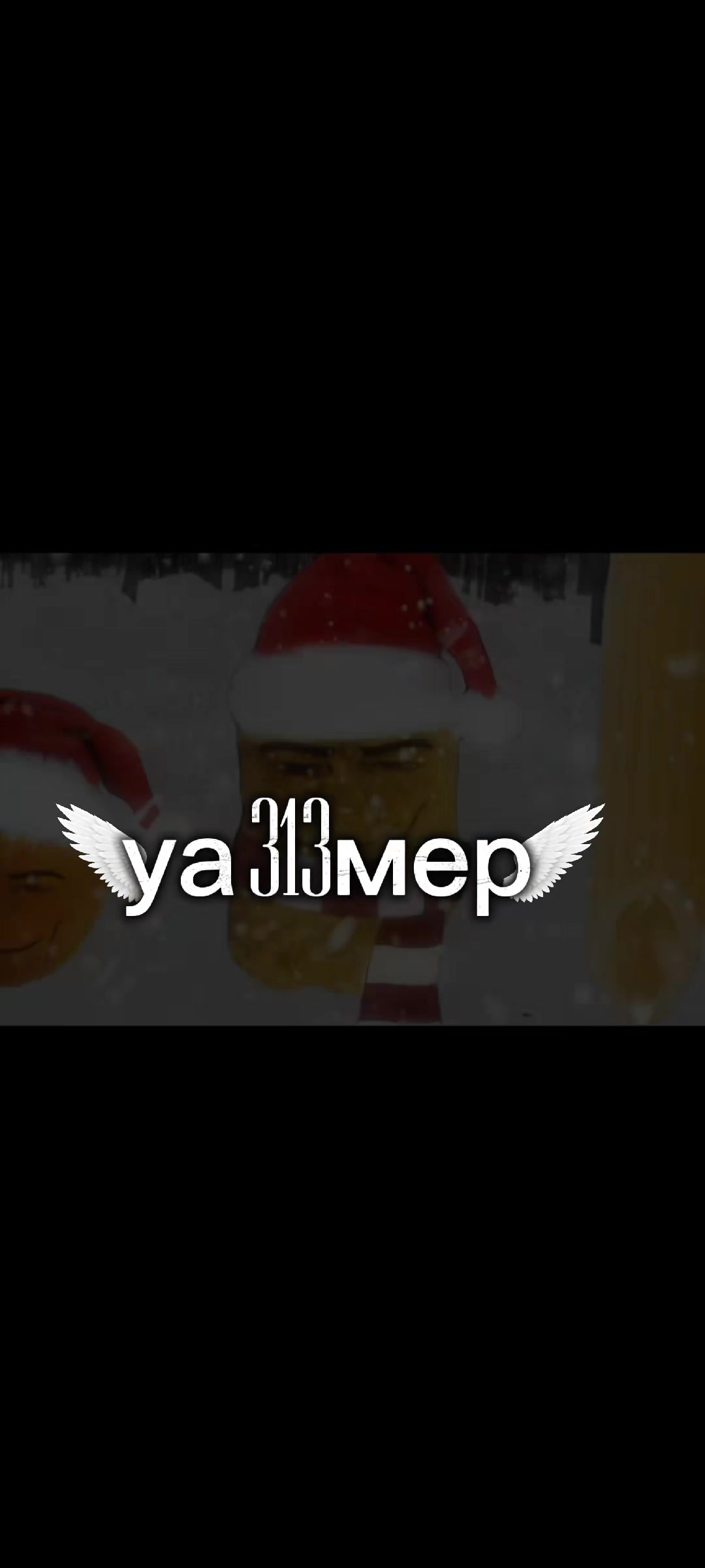 @уа 313мер