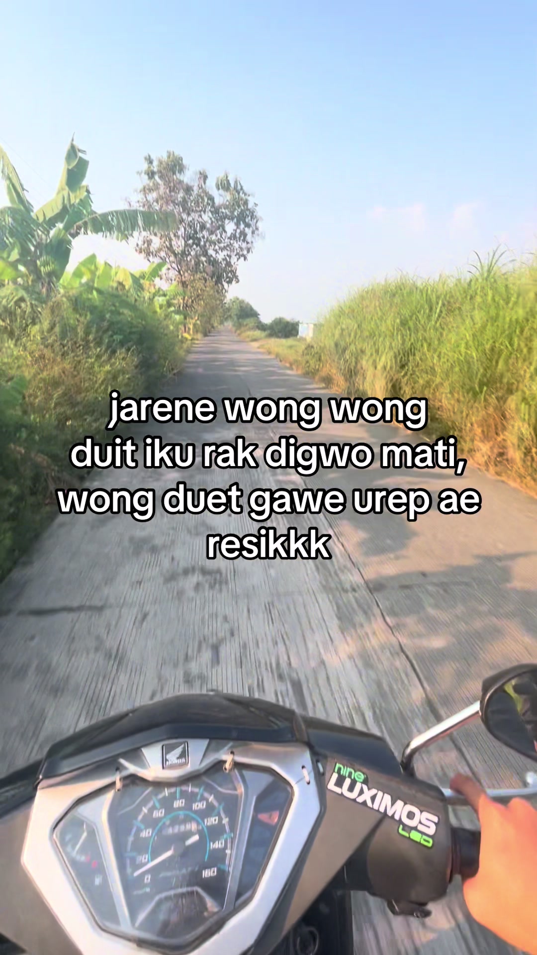 @arf_sf
