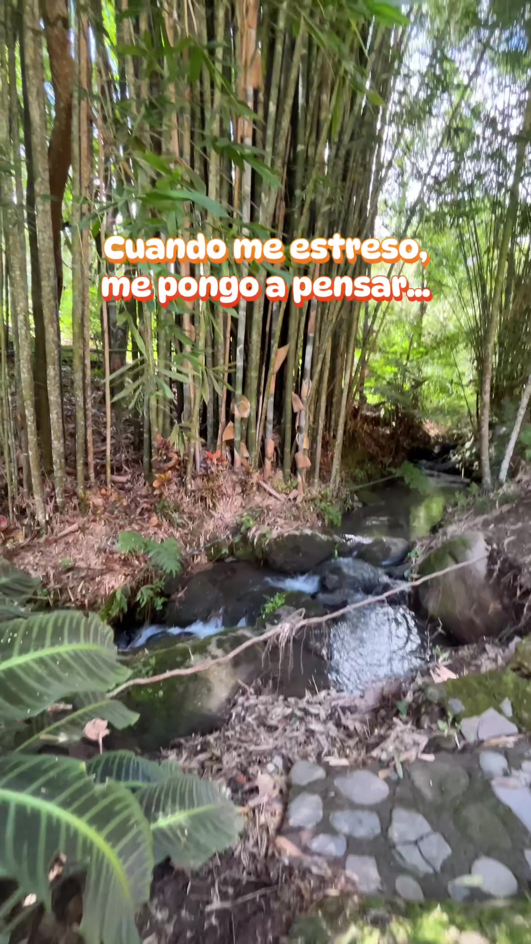@veracruzmarysol