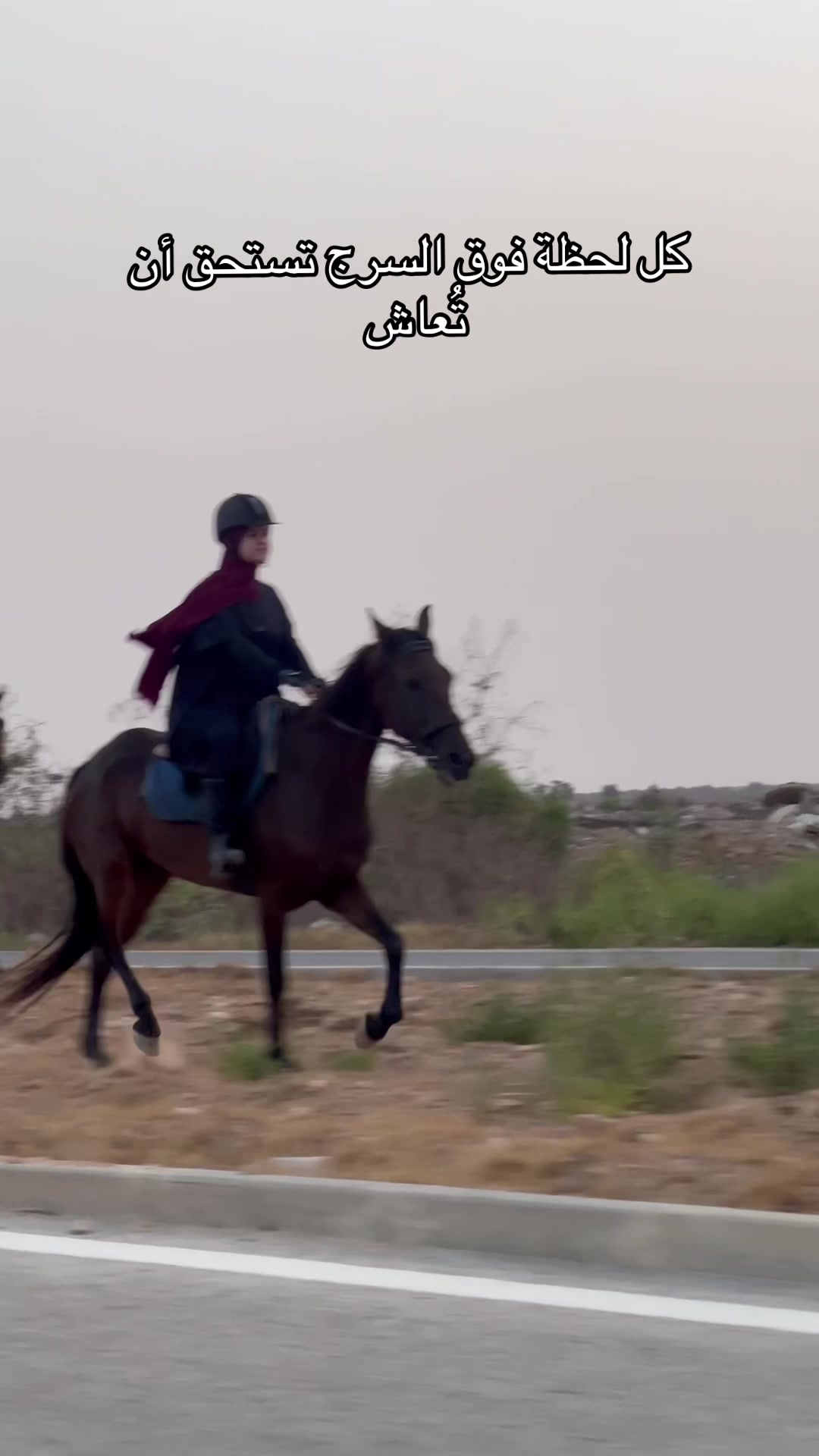 @Feres Ben Amor 🏇
