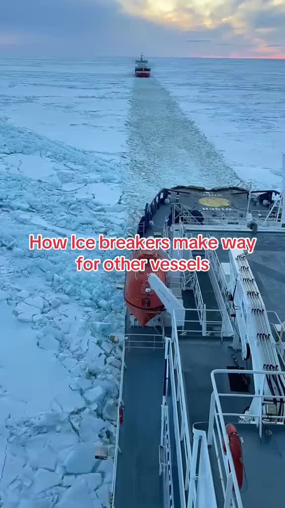 @sᴜɴɴʏ ʙʀɪɢʜᴛ☀️⚓️🚢🌊