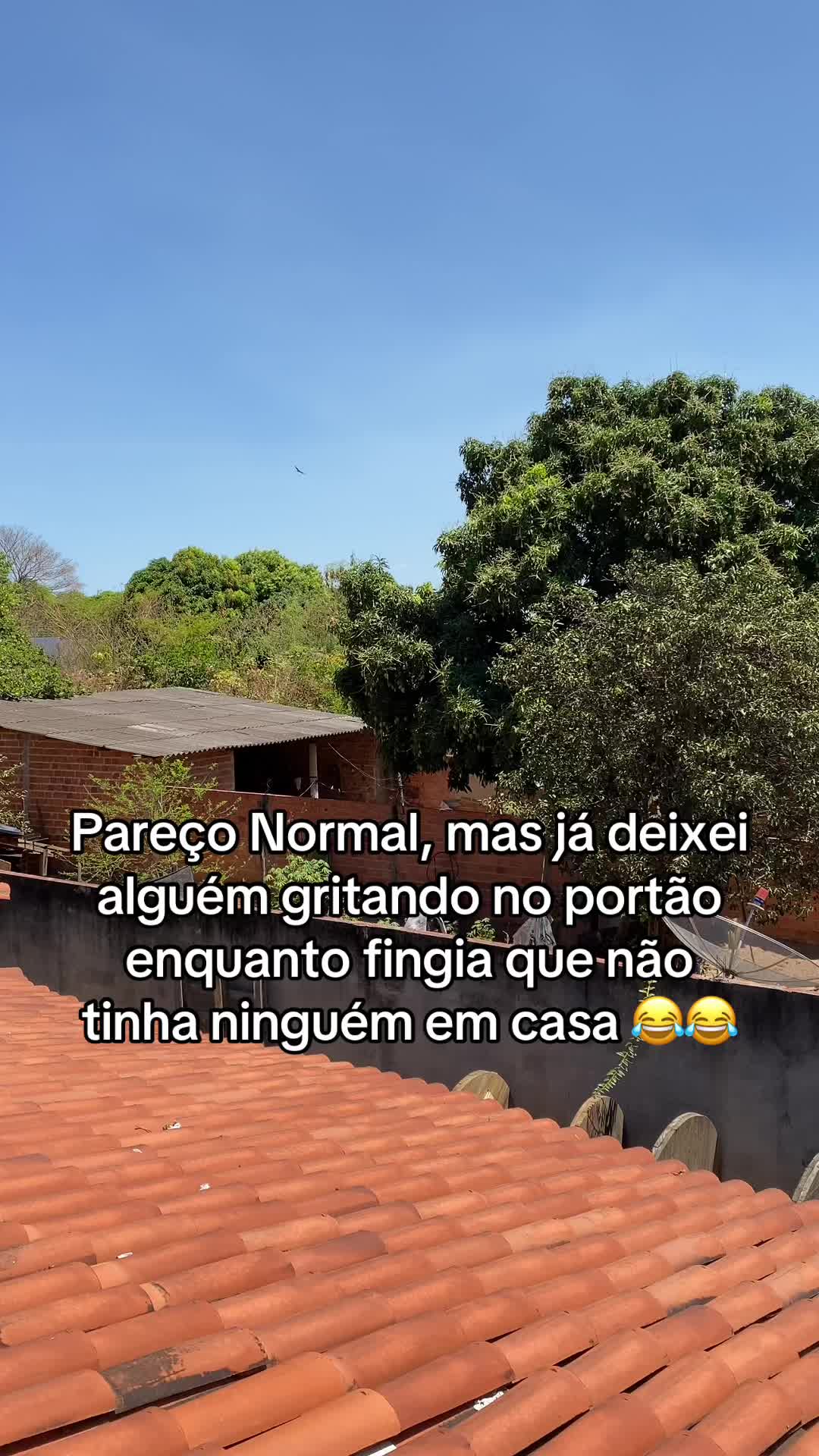 @clrsoares2