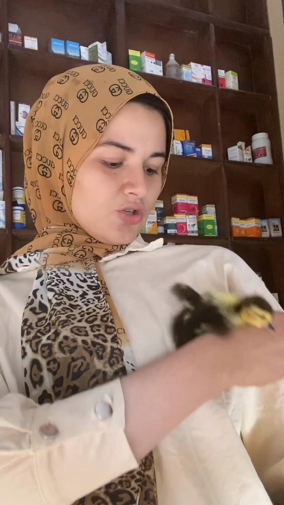 @Haneenkareem55