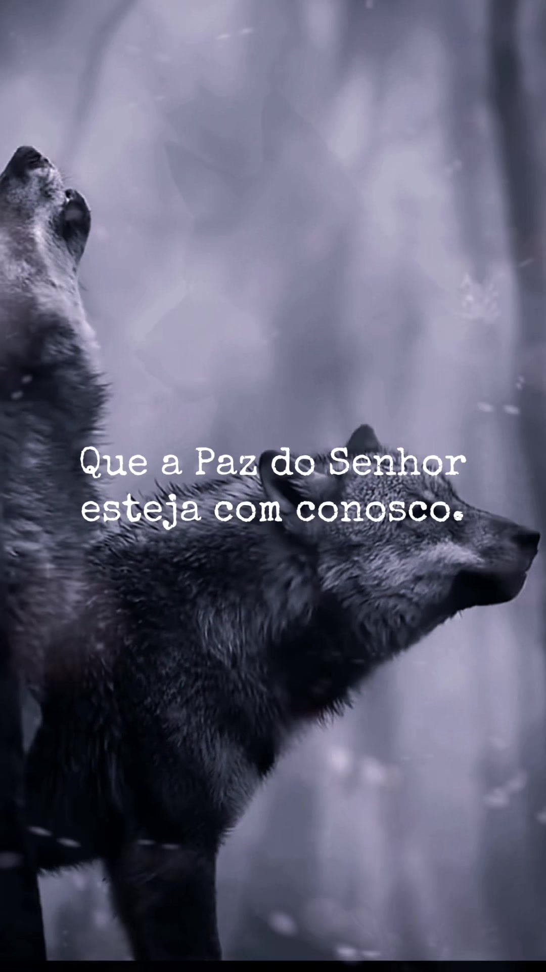 @🐺_ØⱠØ฿Ø_🐺