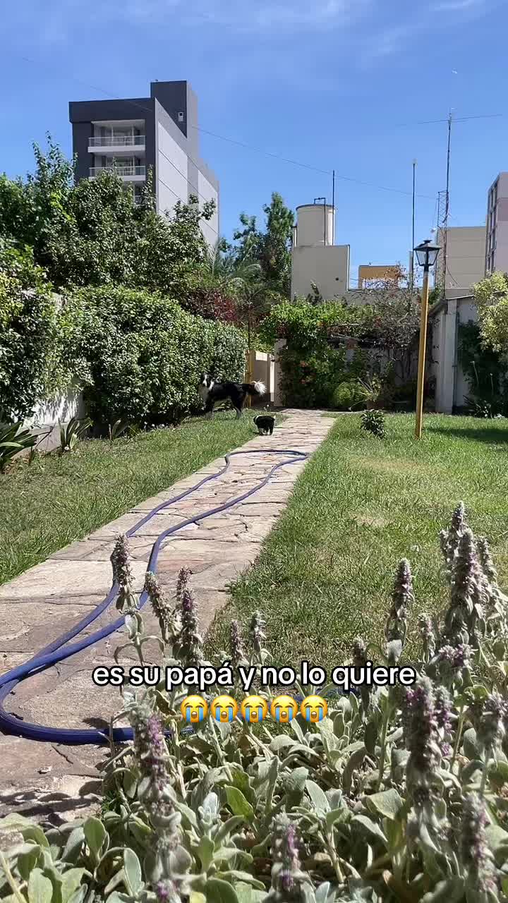 @yo