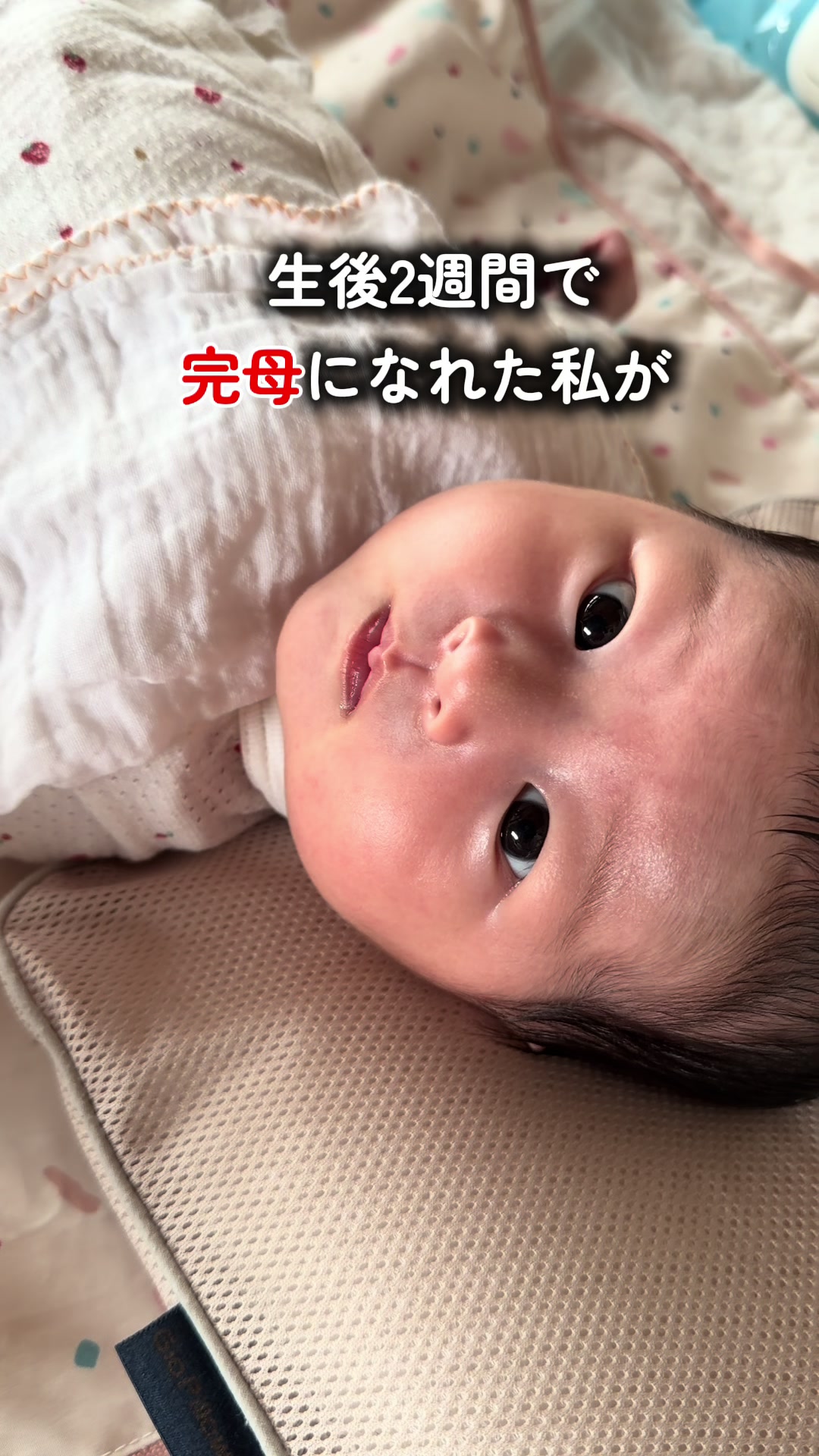 @あお| 0歳ママの育児日記
