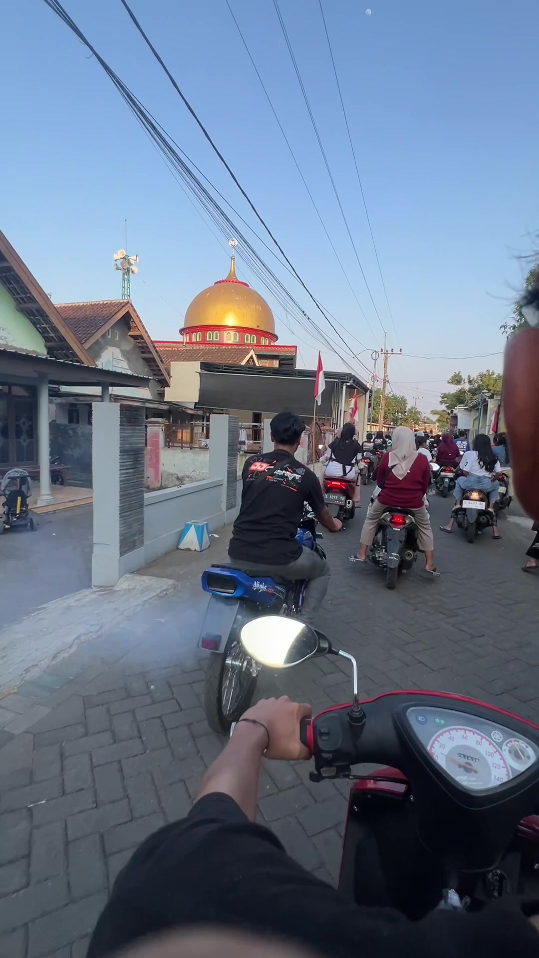 @alif_mdf