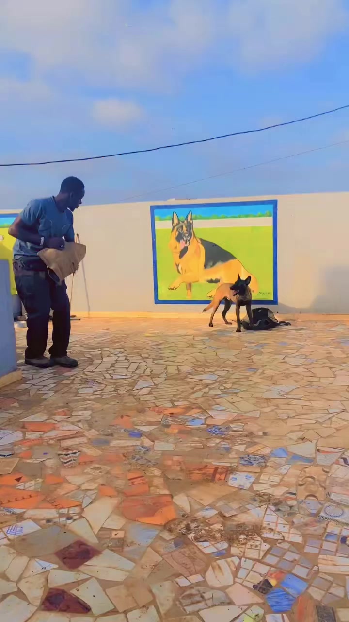 @G.I.C.N 🇸🇳🐾Ma&icirc;tre Weuz🐕&zwj;🦺