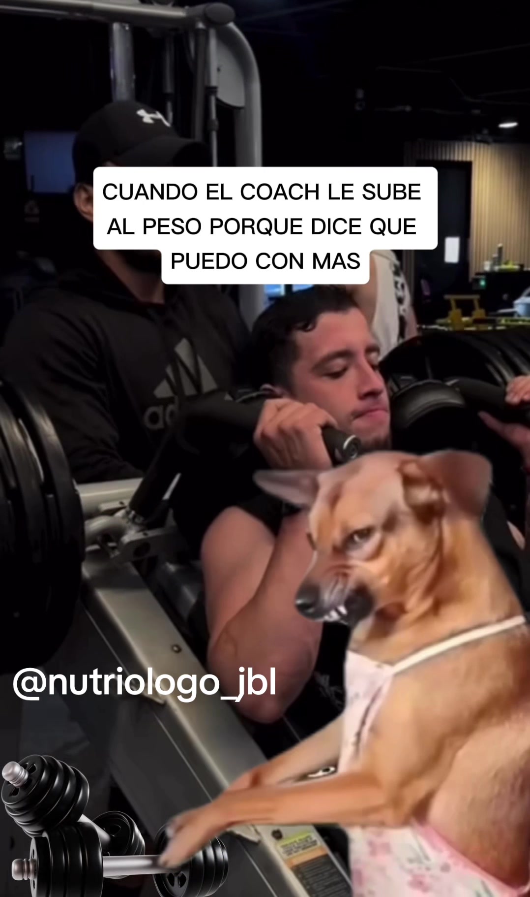 @Nutriólogo JBL 💪🏼