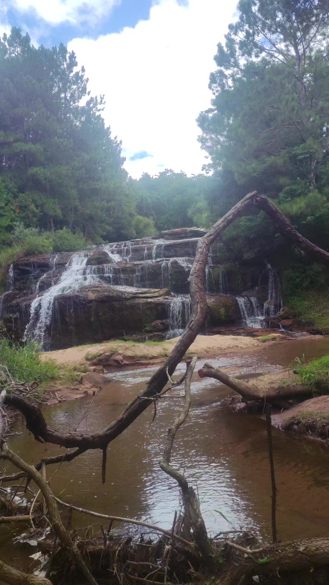 @WHresinas 🌲🛢️