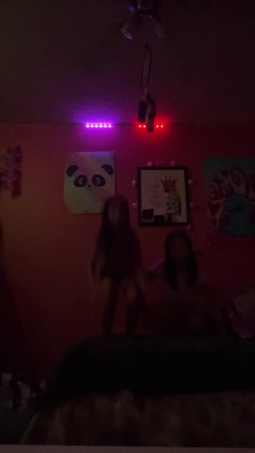 @amelia_layla